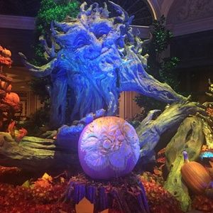 Meet your Posher, Martha